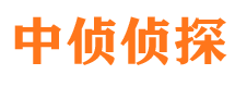 新密侦探公司